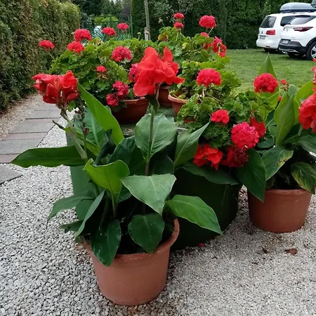 Mit Pool, Wlan Direkt Am 60qm Apartmán Balatonmáriafürdő